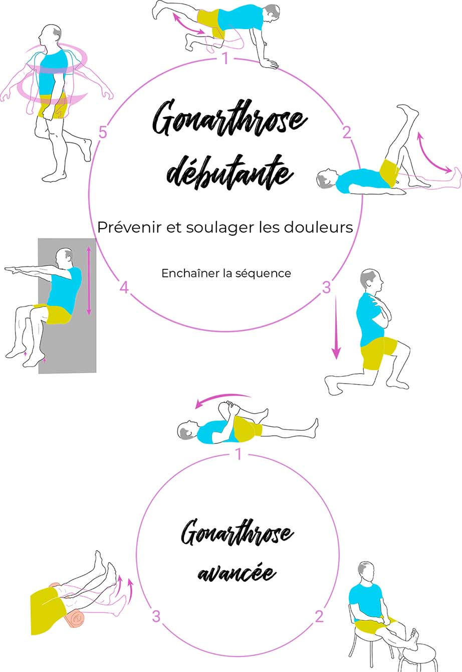 roue des exercices gonarthrose